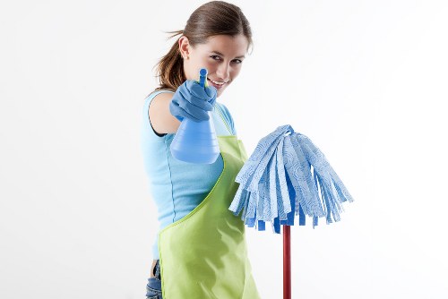 Accessibility statement introduction for Hampton Carpet Cleaners