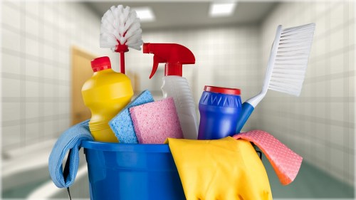 Hampton Carpet Cleaners team providing professional carpet cleaning in a local home