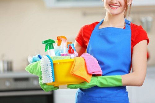 Clean and well-maintained carpet representing Hampton carpet cleaning services