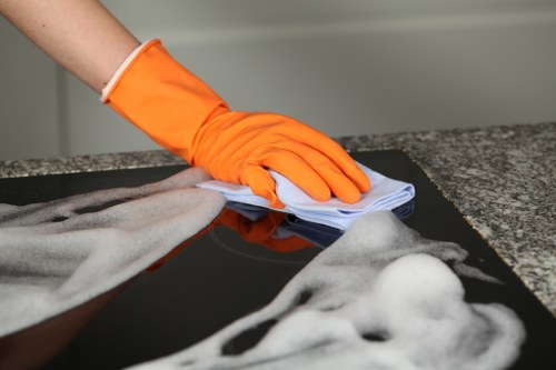 Customer concern being documented for a carpet cleaning complaint