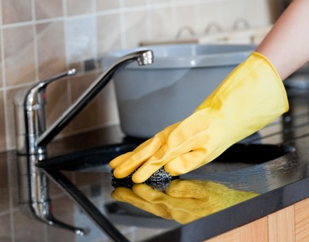 Professional carpet cleaner reviewing stain treatment details before work begins
