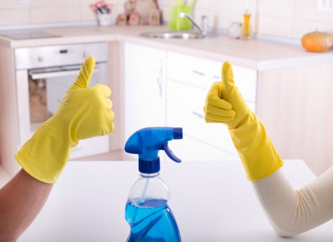 Carpet cleaning price estimate for a Hampton home with transparent rates