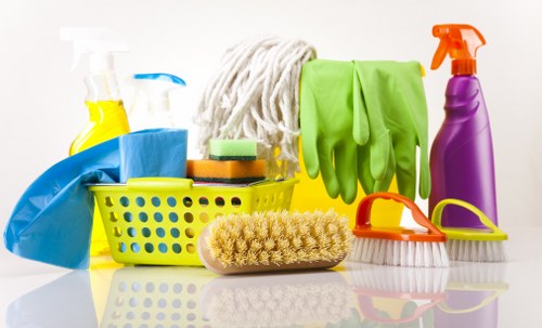 Eco-friendly sofa cleaning service for Hampton residents