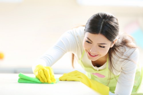 Deep carpet cleaning in Hampton removing dirt and stains