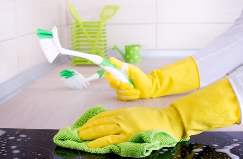 Safety checklist and risk assessment before carpet cleaning service