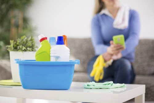 Professional carpet care in a residential or commercial interior setting