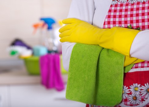 A professional carpet cleaning team working ethically in a home interior