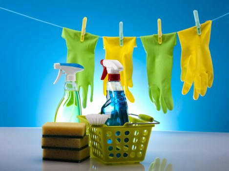 Fresh clean home after pet stain odour removal in Hampton