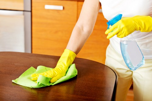 Upholstery odour treatment for pet accidents