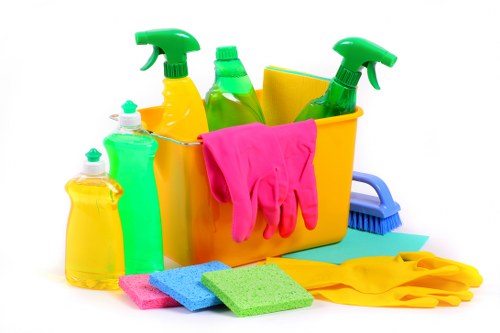 Carpet and upholstery stain removal in Hampton