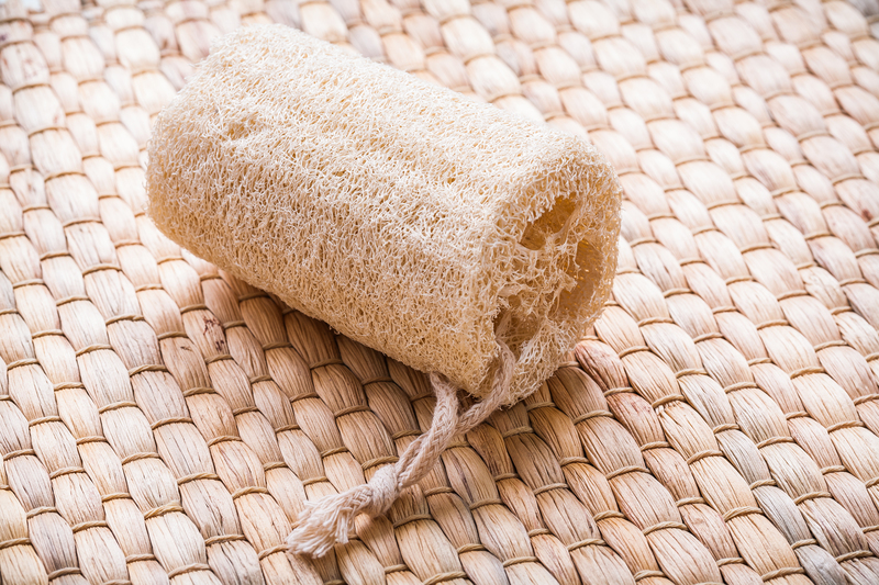 tenancy cleaning carpet cleaning